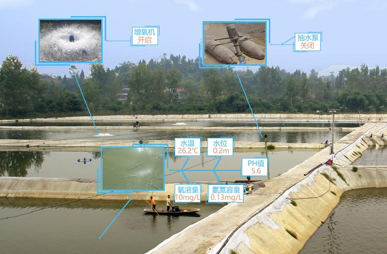 广州"卓农"——智慧水产养殖生产管控解决方案|价格,厂家,图片_商虎